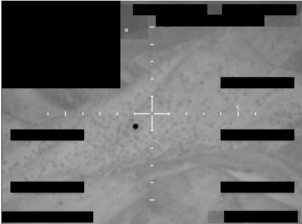FBI Photo A5